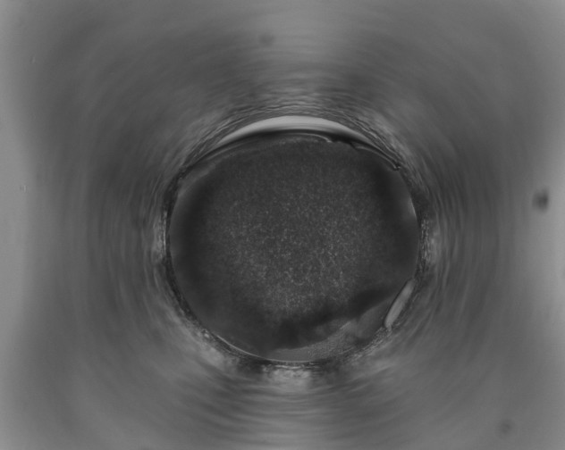 X0000090610471200707241110