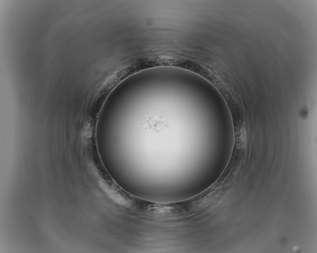 X0000090610472200707241110