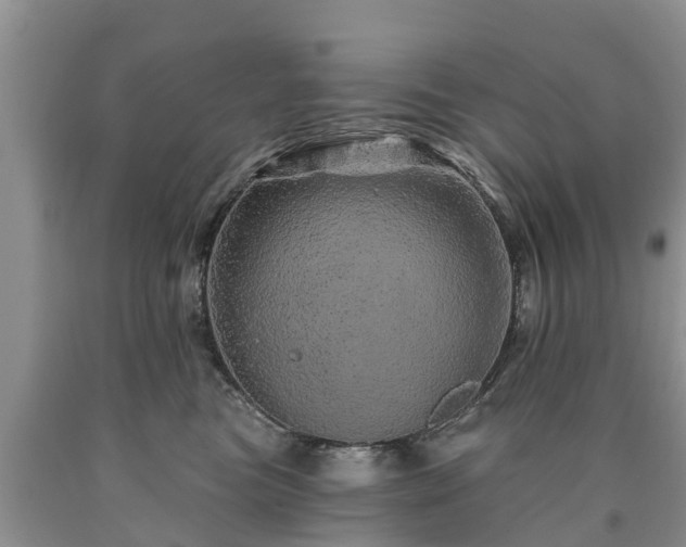 X0000090610473200707241110