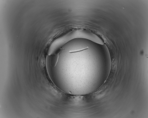 X0000090610474200707241110