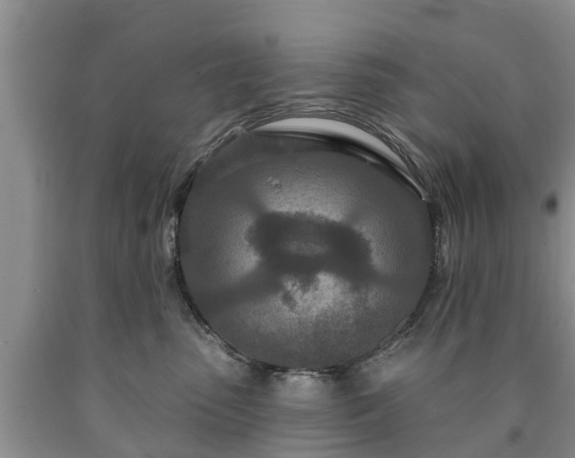 X0000090610475200707241110