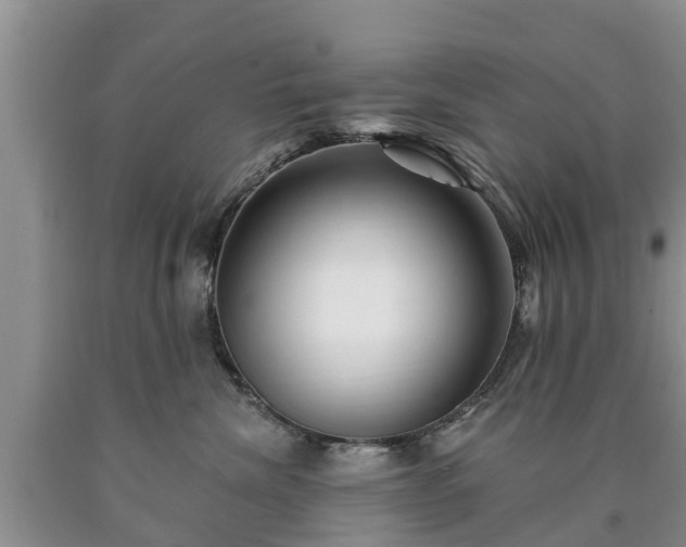 X0000090610476200707241110