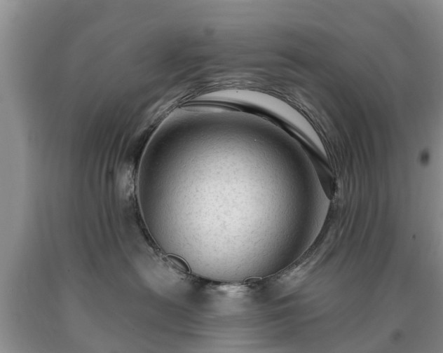 X0000090610478200707241110