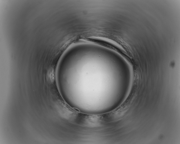 X0000090610479200707241110