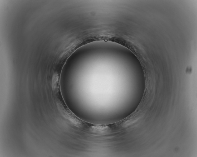 X0000090610480200707241110