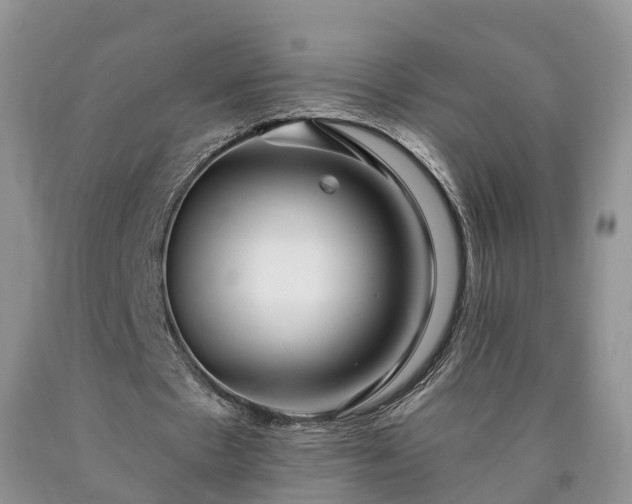 X0000090610481200707241110