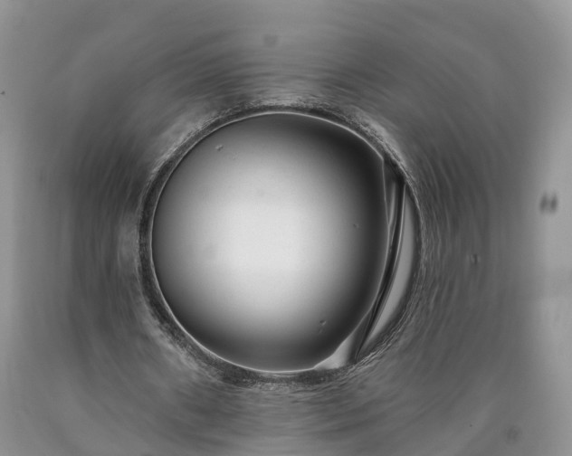 X0000090610482200707241110