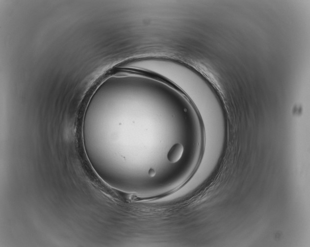 X0000090610483200707241110