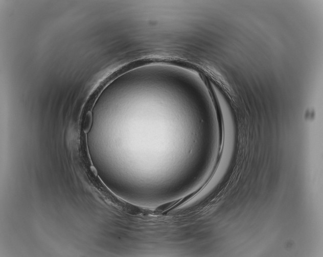 X0000090610484200707241110