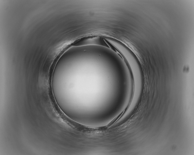 X0000090610485200707241110