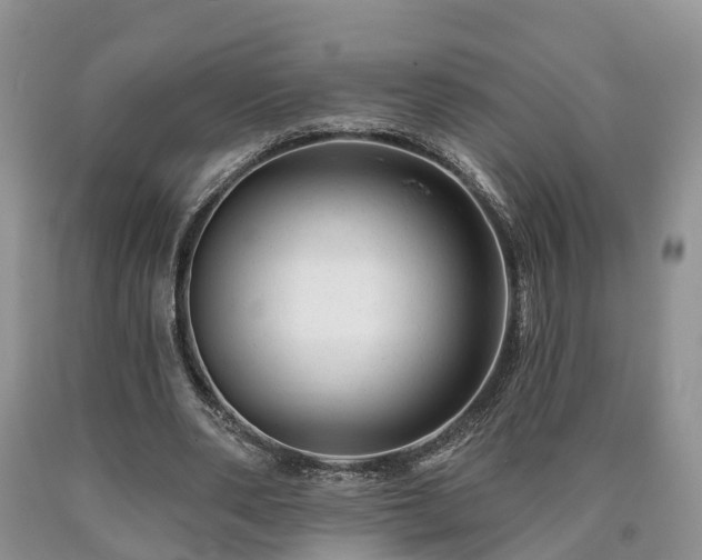 X0000090610486200707241110