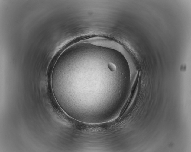 X0000090610488200707241110