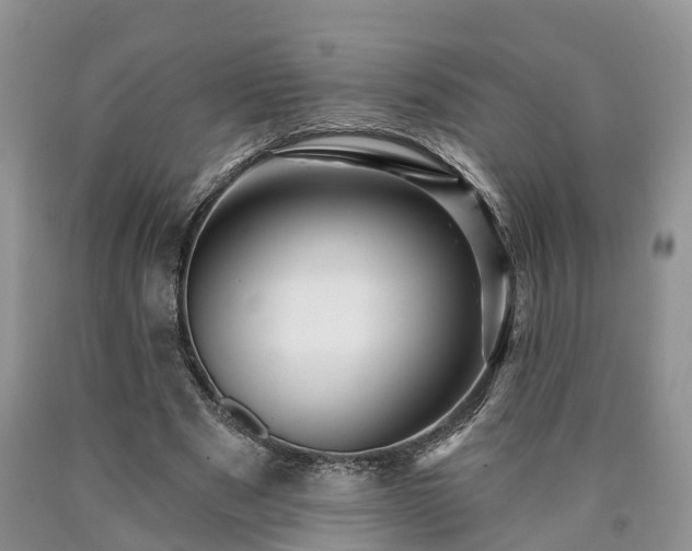 X0000090610489200707241110