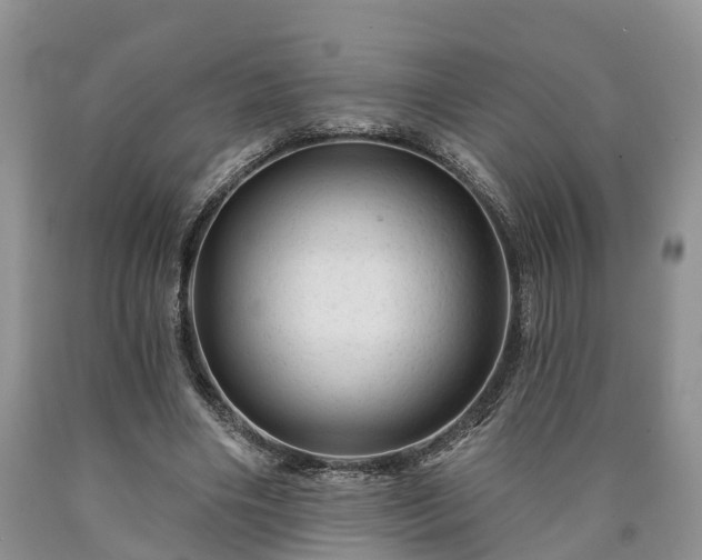 X0000090610490200707241110