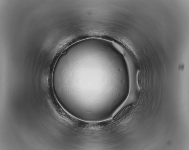 X0000090610491200707241110