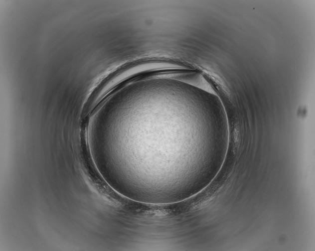 X0000090610492200707241110