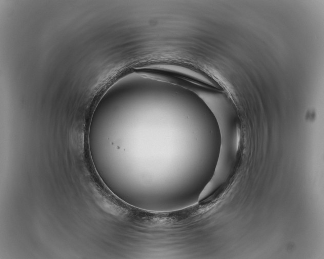 X0000090610493200707241110