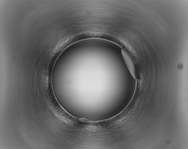 X0000090610494200707241110