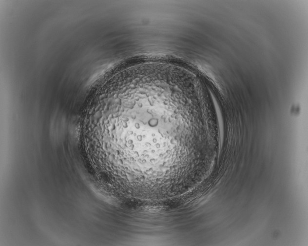 X0000090610495200707241110