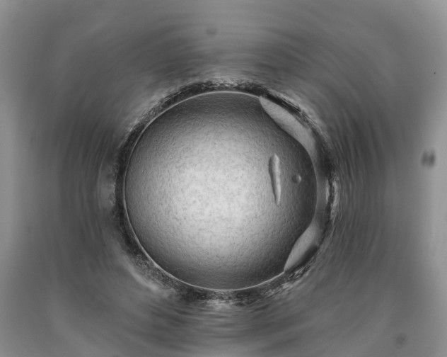 X0000090610496200707241110