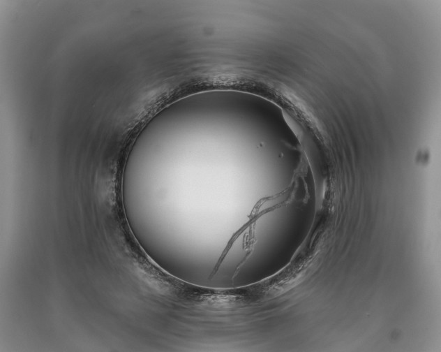 X0000090610497200707241110