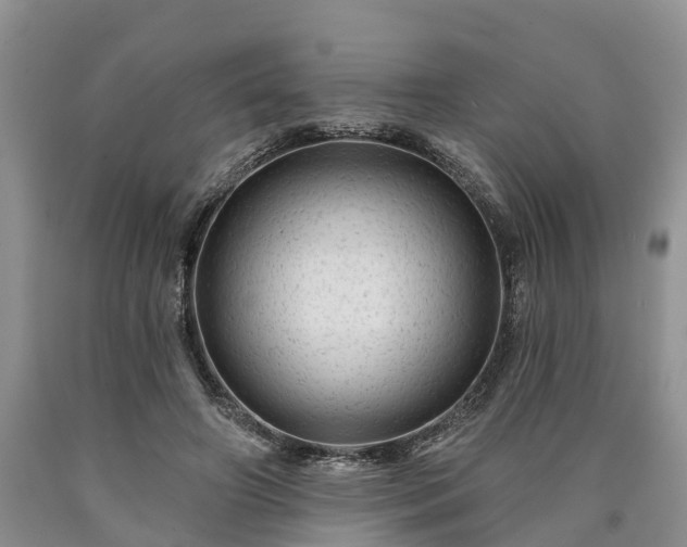 X0000090610498200707241109