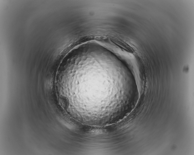 X0000090610499200707241109