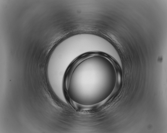 X0000090610500200707241109