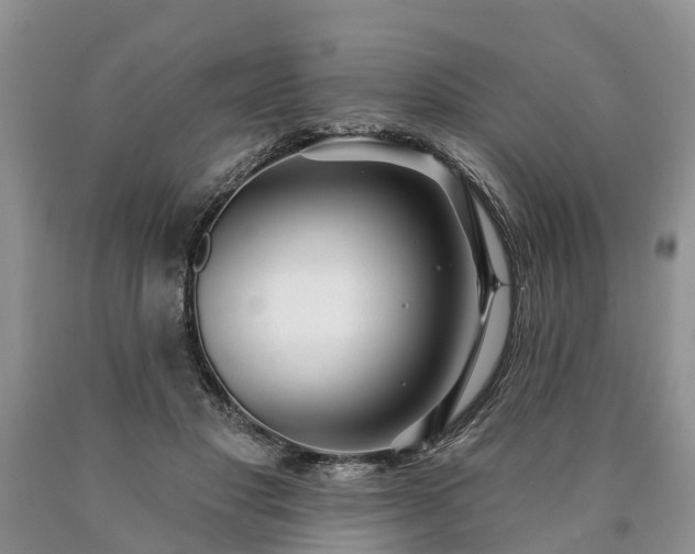 X0000090610501200707241109