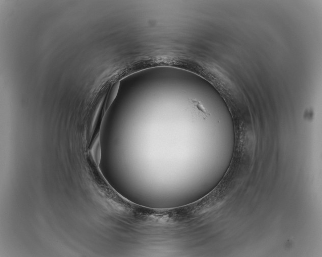 X0000090610502200707241109