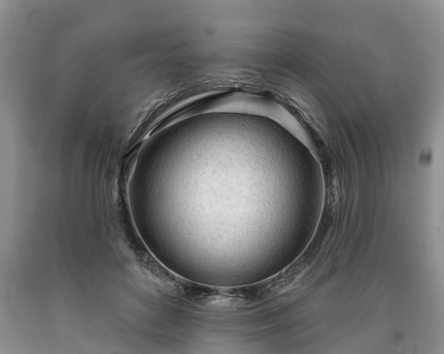 X0000090610504200707241109