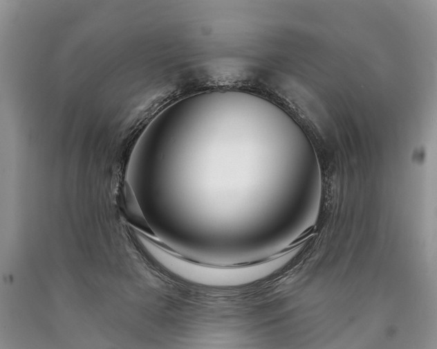 X0000090610505200707241109