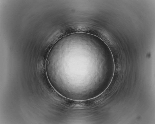 X0000090610506200707241109