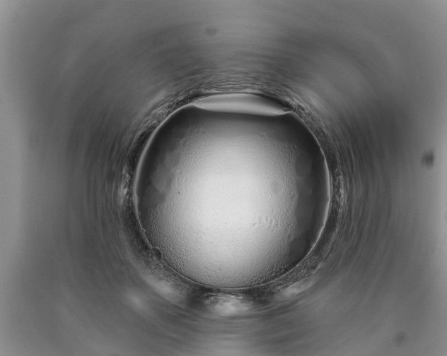 X0000090610507200707241109