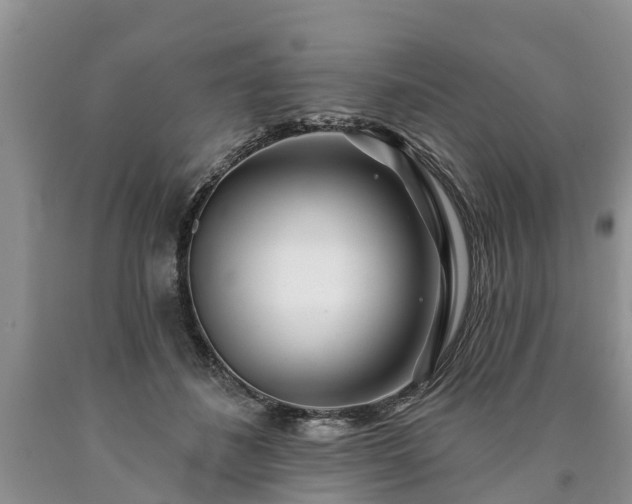 X0000090610508200707241109