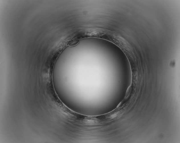 X0000090610510200707241109