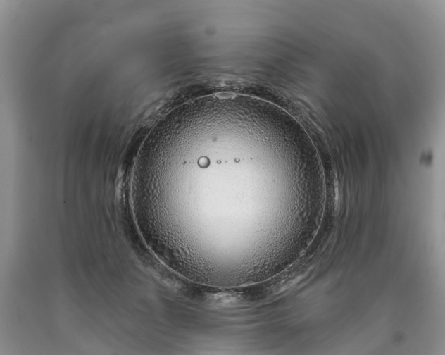 X0000090610511200707241109