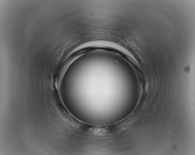 X0000090610512200707241109