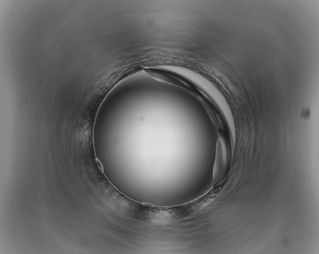 X0000090610513200707241109