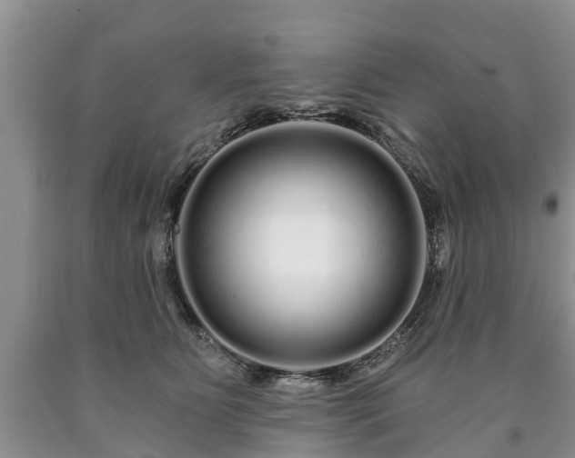 X0000090610515200707241109