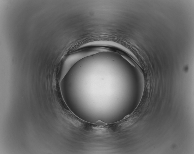 X0000090610516200707241109