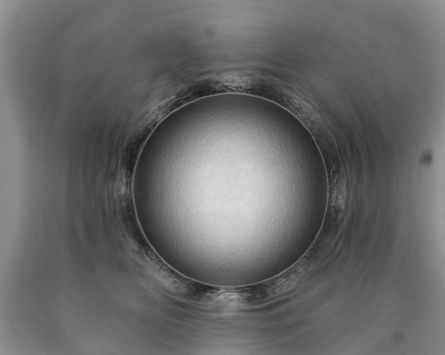 X0000090610518200707241109