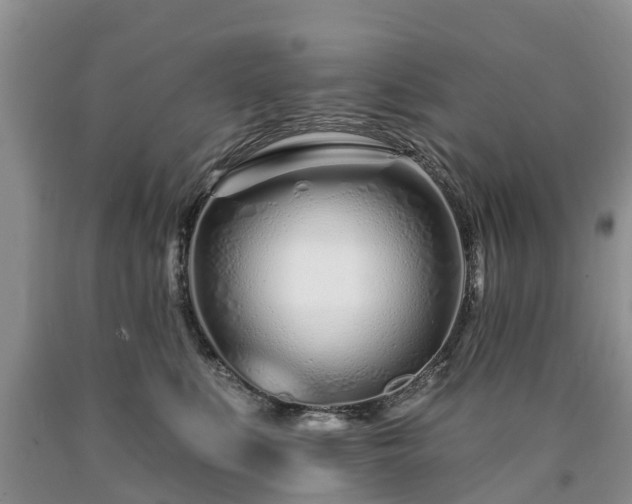 X0000090610519200707241109