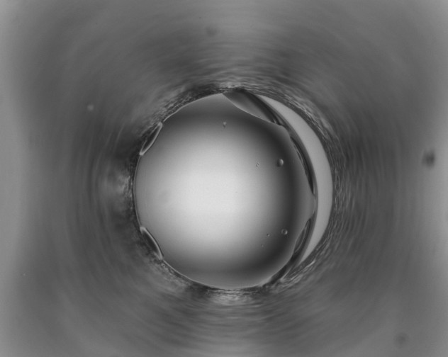 X0000090610521200707241109