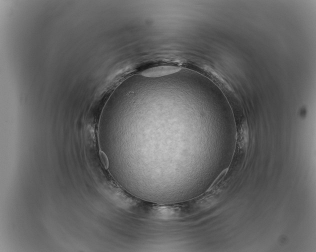 X0000090610522200707241109