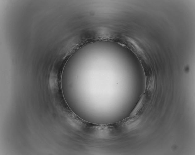 X0000090610524200707241109