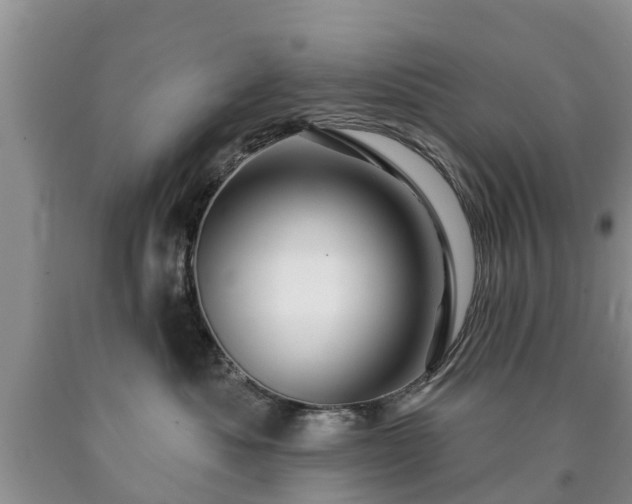 X0000090610525200707241109