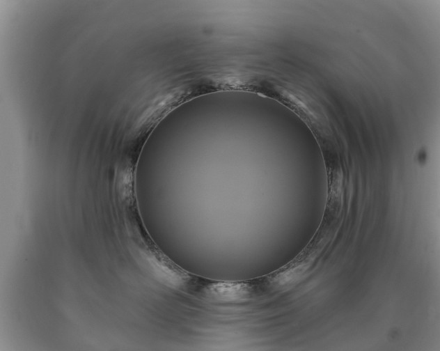 X0000090610526200707241109