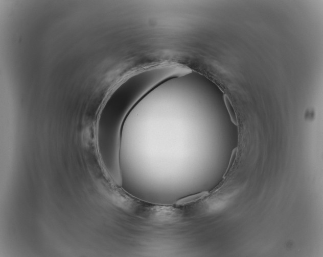 X0000090610528200707241109