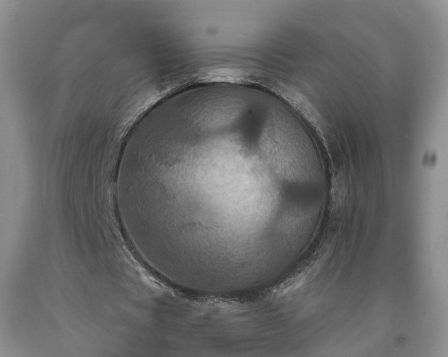 X0000090610529200707241108